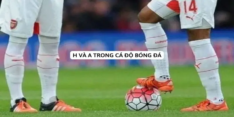 Chiến lược cá độ Các loại chiến lược cá độ phổ biến hiện nay