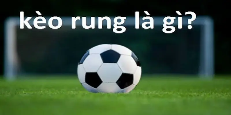 Kèo rung là gì Các loại kèo phổ biến trong nhóm kèo rung là gì?