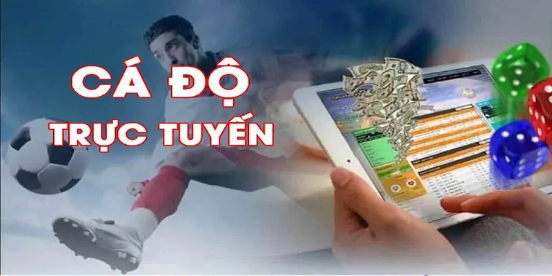 Chiến lược cá độ Cách xây dựng chiến lược cá độ cá nhân hiệu quả