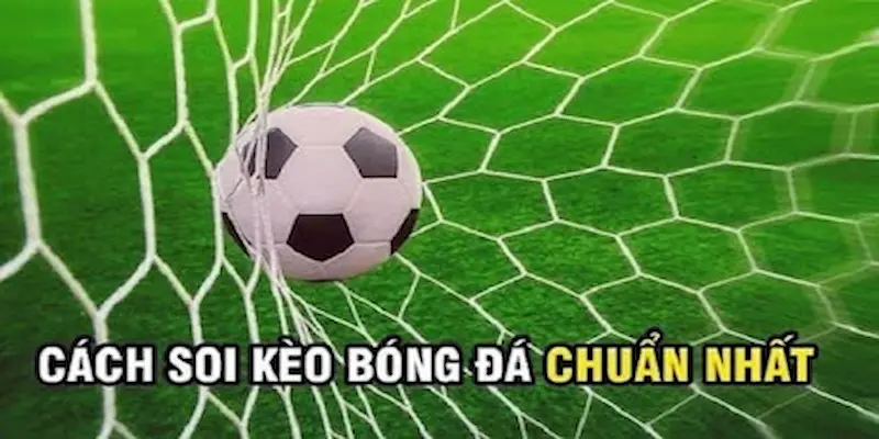 kèo bóng đá Hiểu đúng về kèo bóng đá trong cá cược thể thao