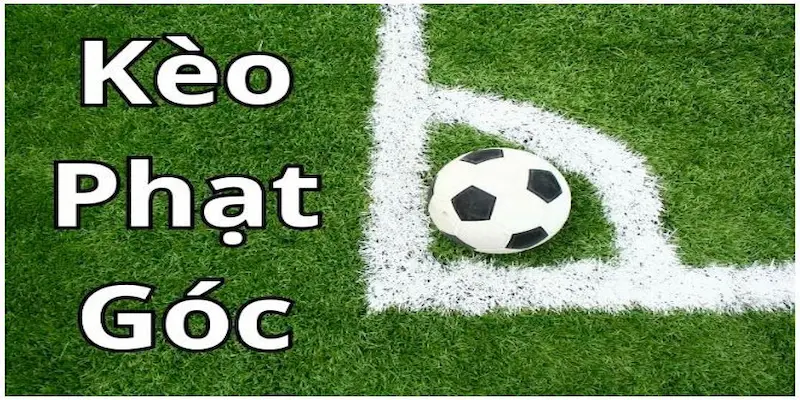 kèo phạt góc Tổng quan về kèo phạt góc trong cá cược bóng đá