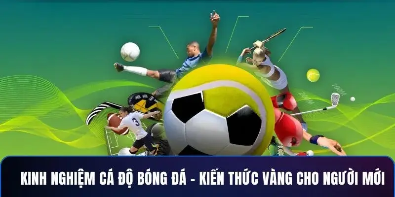 Chiến lược cá độ Vì sao cần áp dụng chiến lược cá độ trong cá cược trực tuyến